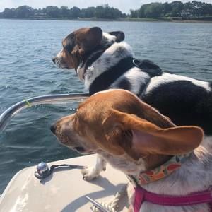 Meet your Posher, Adam